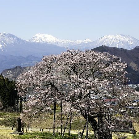 ريوكان وارابينو Takayama  المظهر الخارجي الصورة