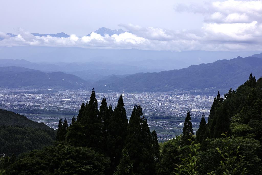 ريوكان وارابينو Takayama  المظهر الخارجي الصورة