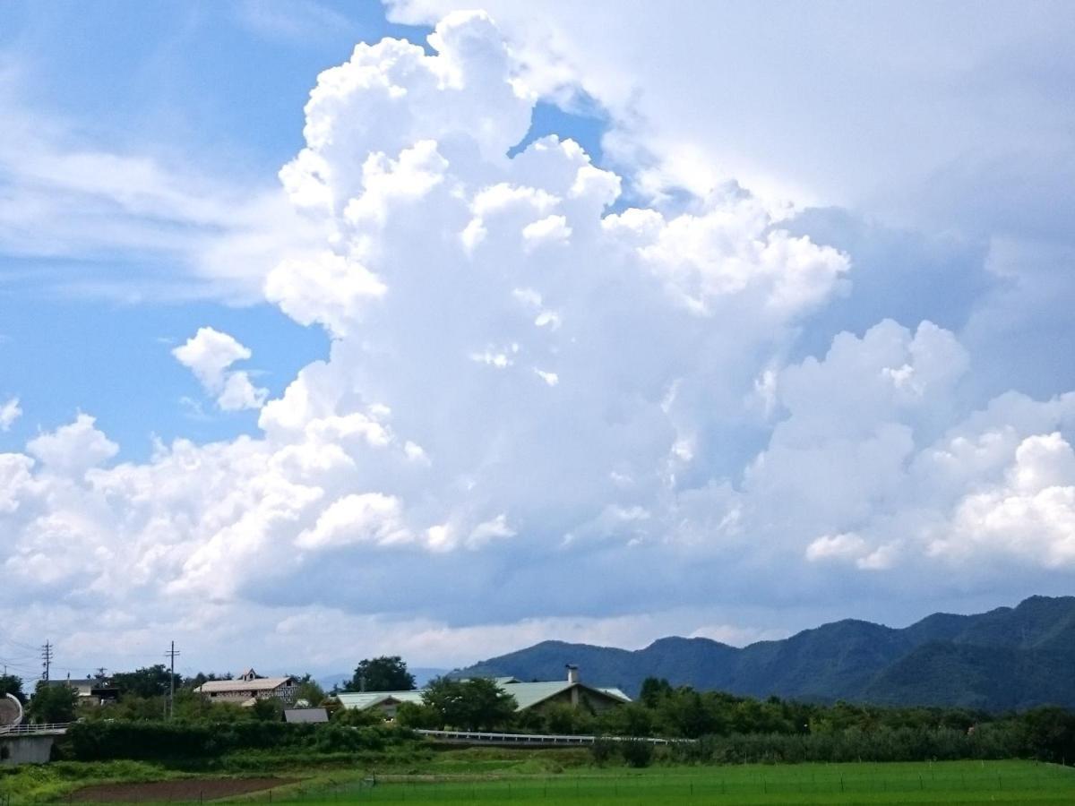 ريوكان وارابينو Takayama  المظهر الخارجي الصورة